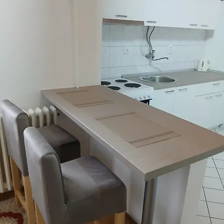 Dragic Apartment