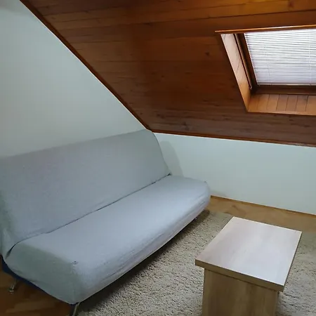 Dragic Apartment